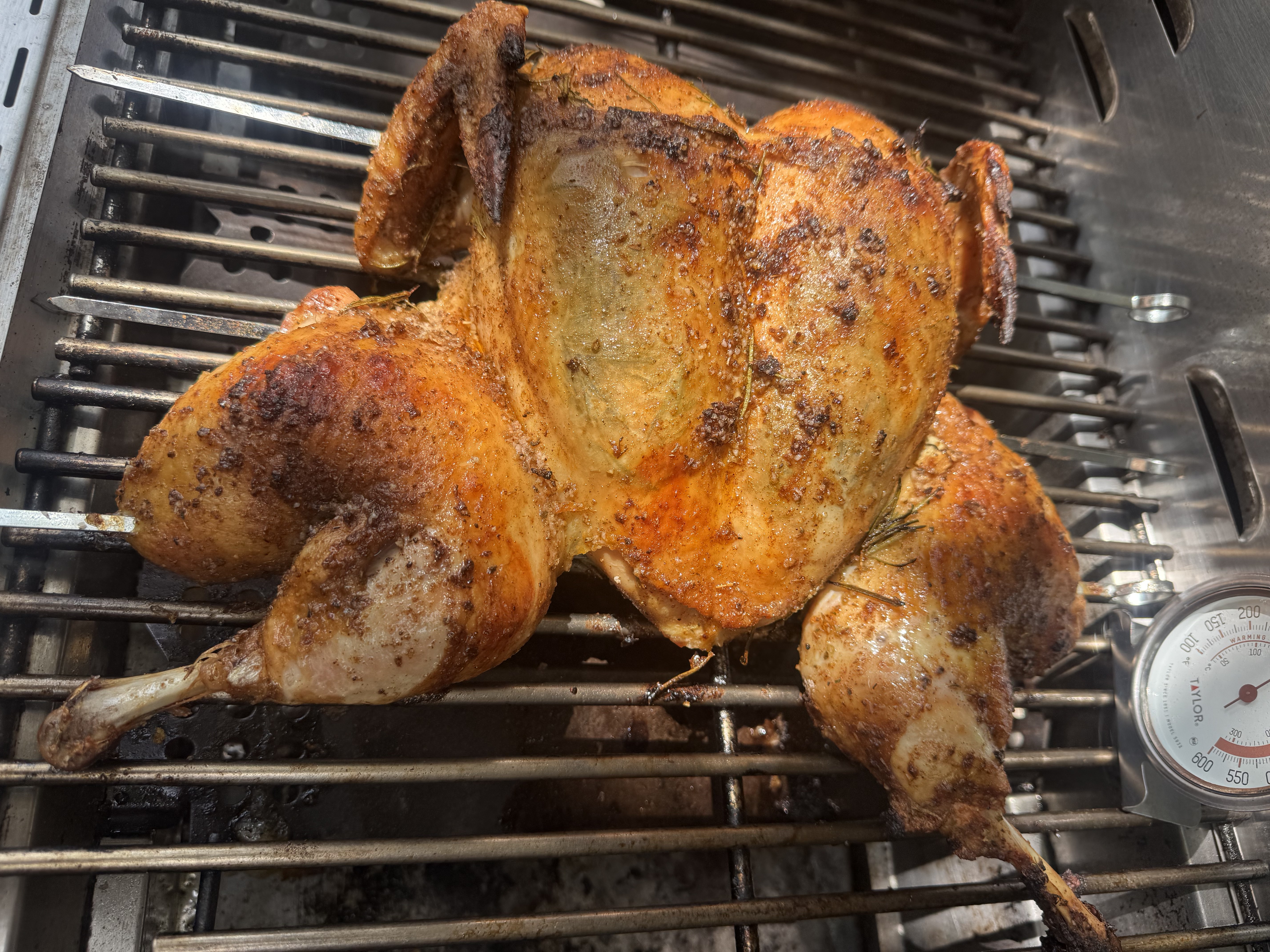 Grilled farm chicken