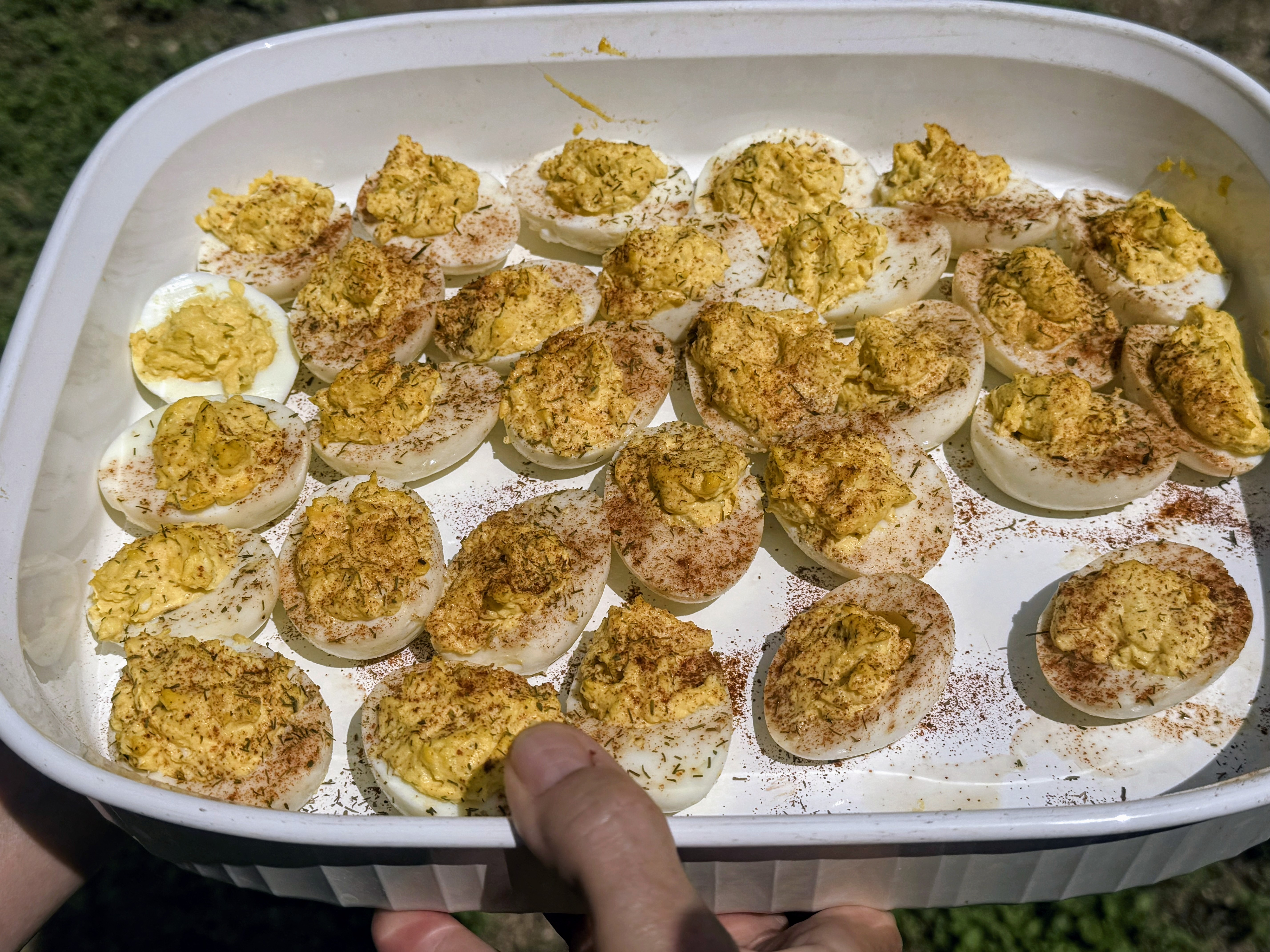 Deviled eggs made with farm eggs
